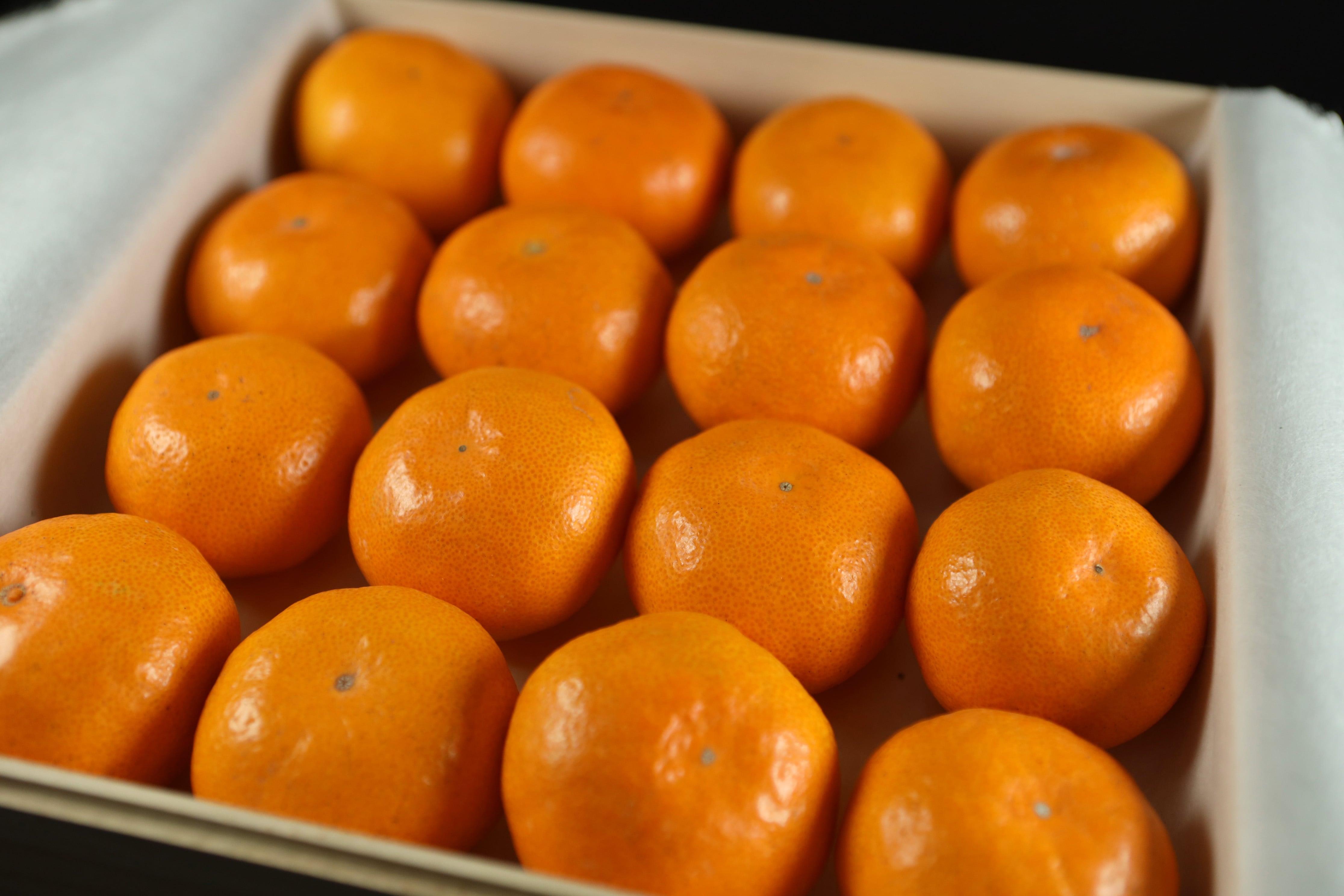 最高級ブランドみかん】香菓-16個入り | 最高級みかん：香菓