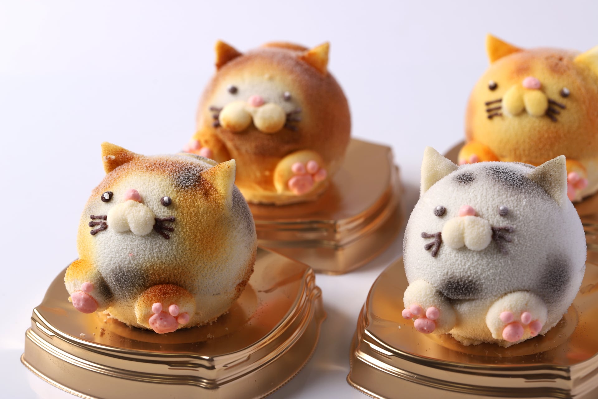 猫ケーキ　ニャン