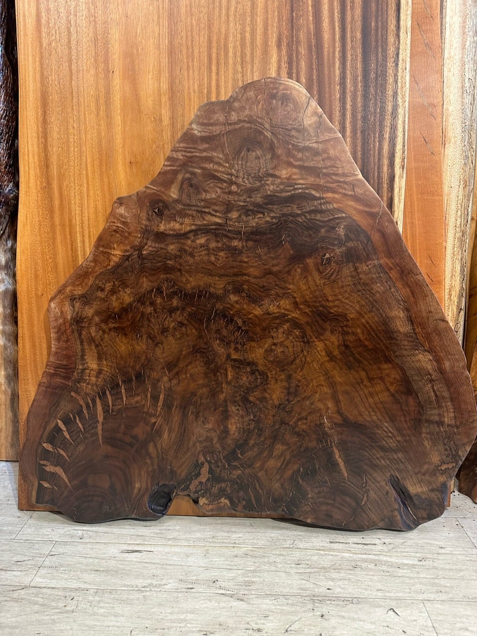 OUTLET】【輪切り】クラロウォールナット_850×300-900×40_浅草本店_