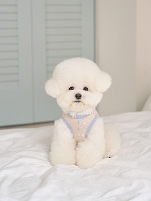 予約【noutti】Good Night Rabbit Pajamas (WarmGray)