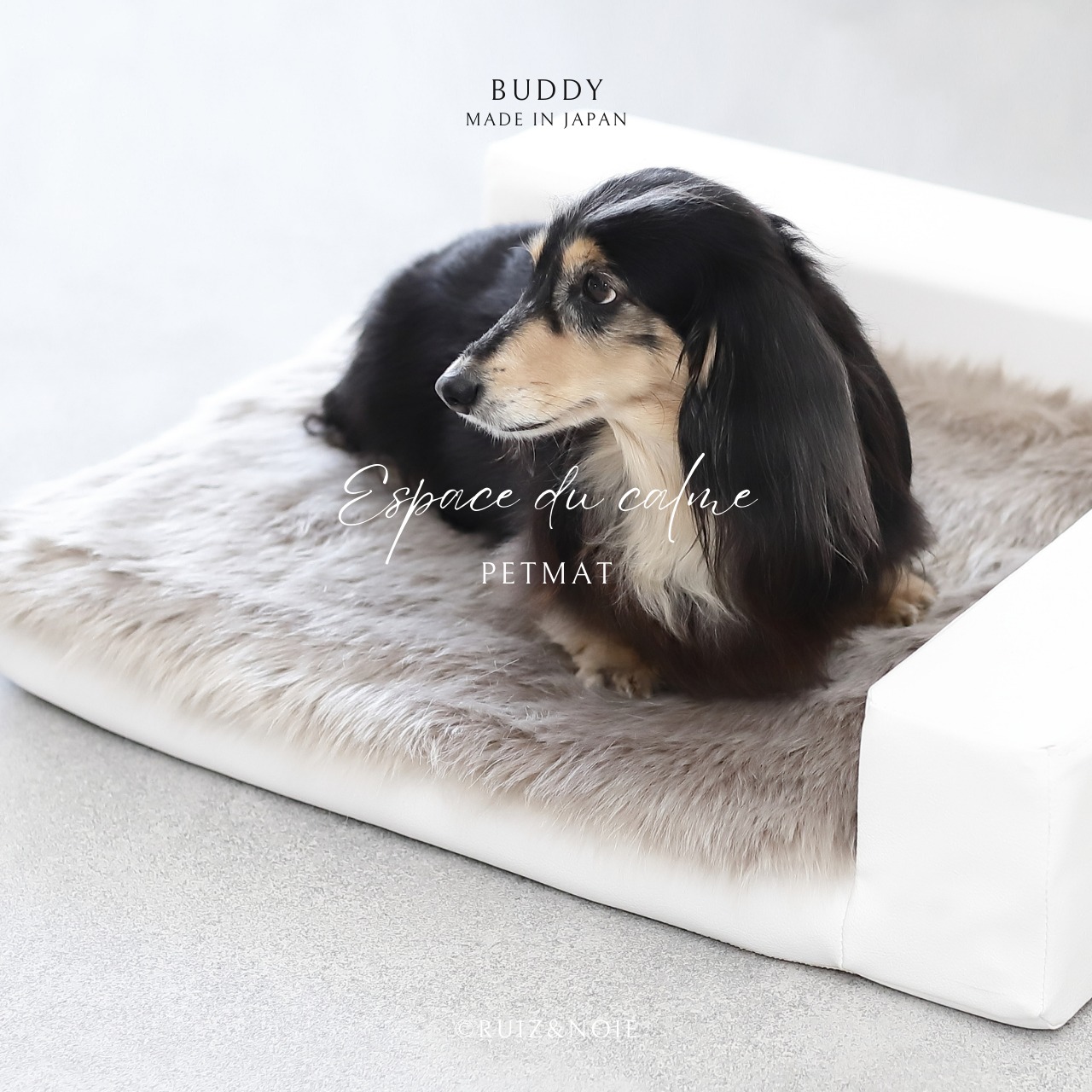 BUDDY DOG&CAT BED  WHITE　