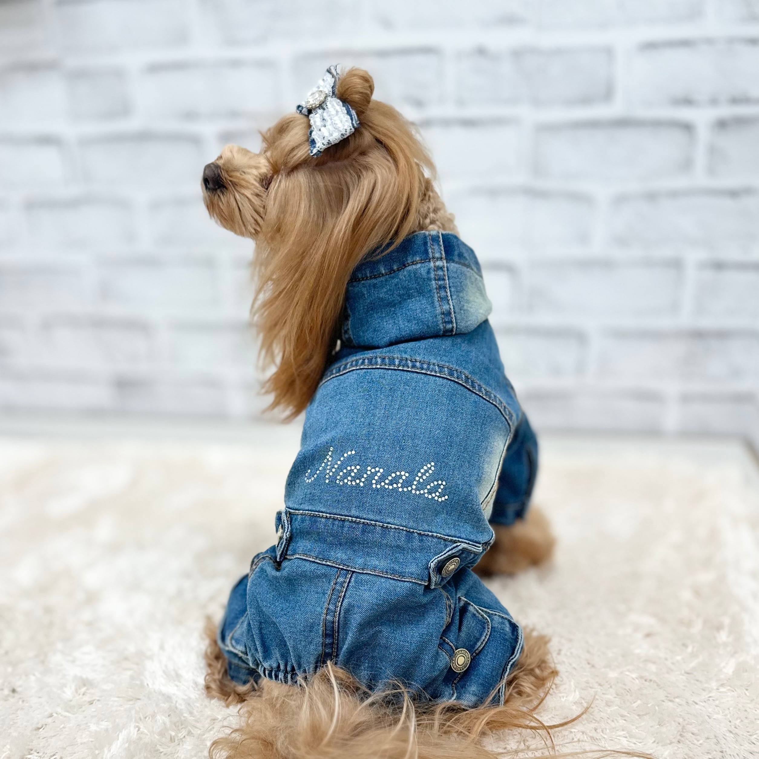 犬服Nanala デニムREON REON~デニム~ 2XL.3XL | Nanala＊