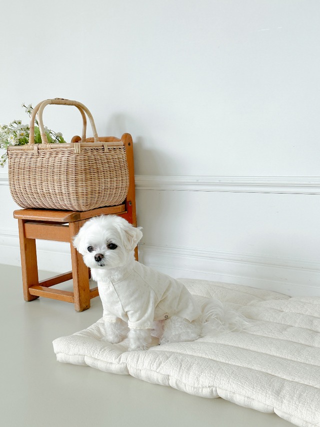 〈予約アイテム〉EYOU アイレットTシャツ(アイボリー )