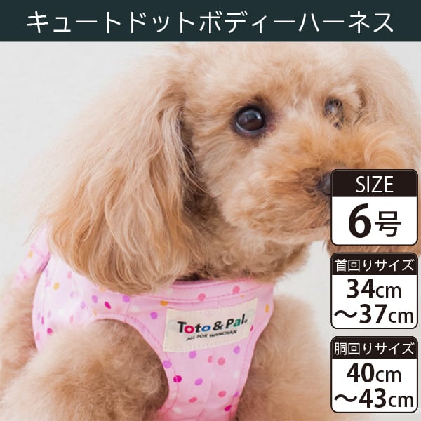 Toto&Pal(トトパル) ボディーハーネス・キュートドット(6号)