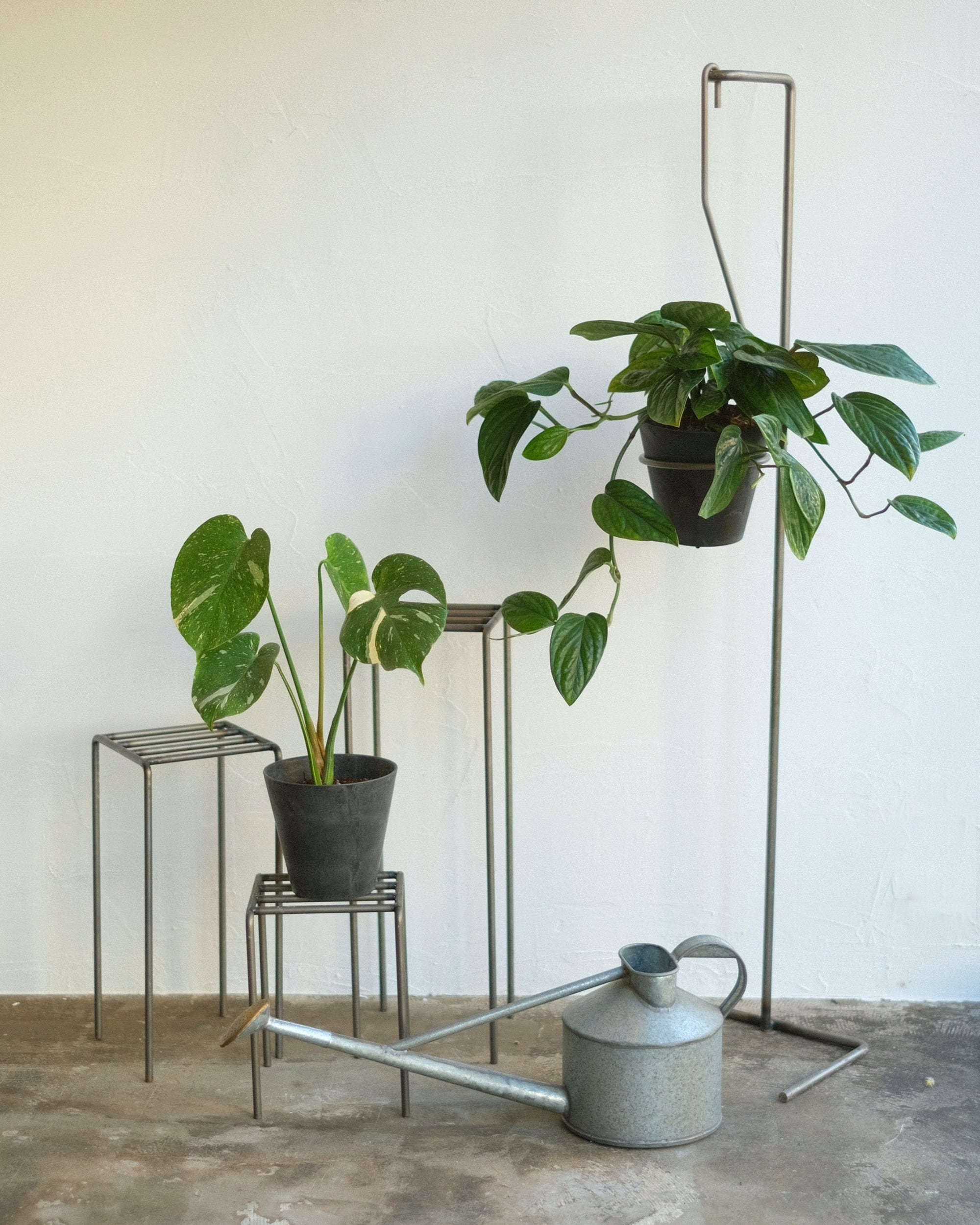 PLOP HANGING HOLDER(L) | WEST VILLAGE TOKYO PLOP HANGING HOLDER(L) | WEST VILLAGE TOKYO