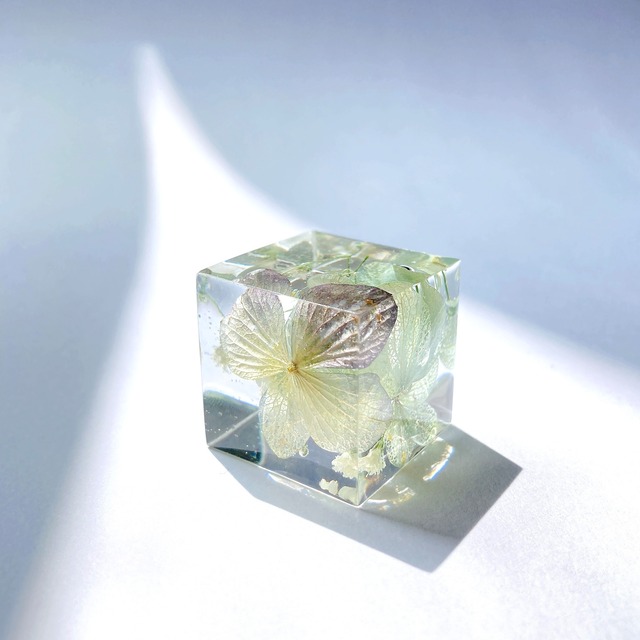 flower cube 【hydrangea】S