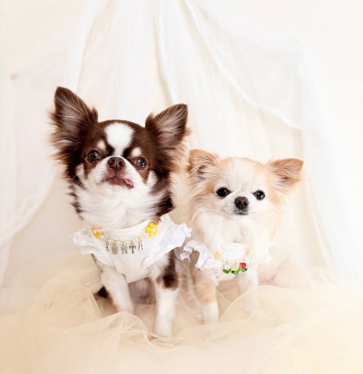 チューリップいっぱいネックレス