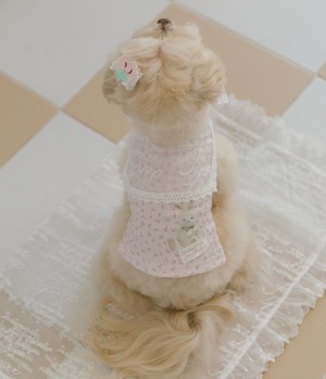 S.M/即納【malrang】Bunny Rabbit TShirt (Pink)