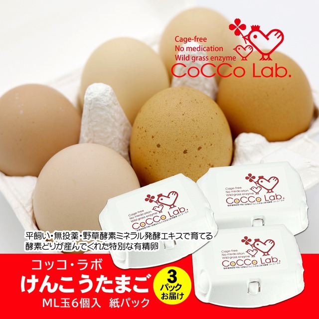 CoCCo Lab. 元気な酵素鶏が産んでくれた有精卵　酵素けんこう卵　６個入×３パック