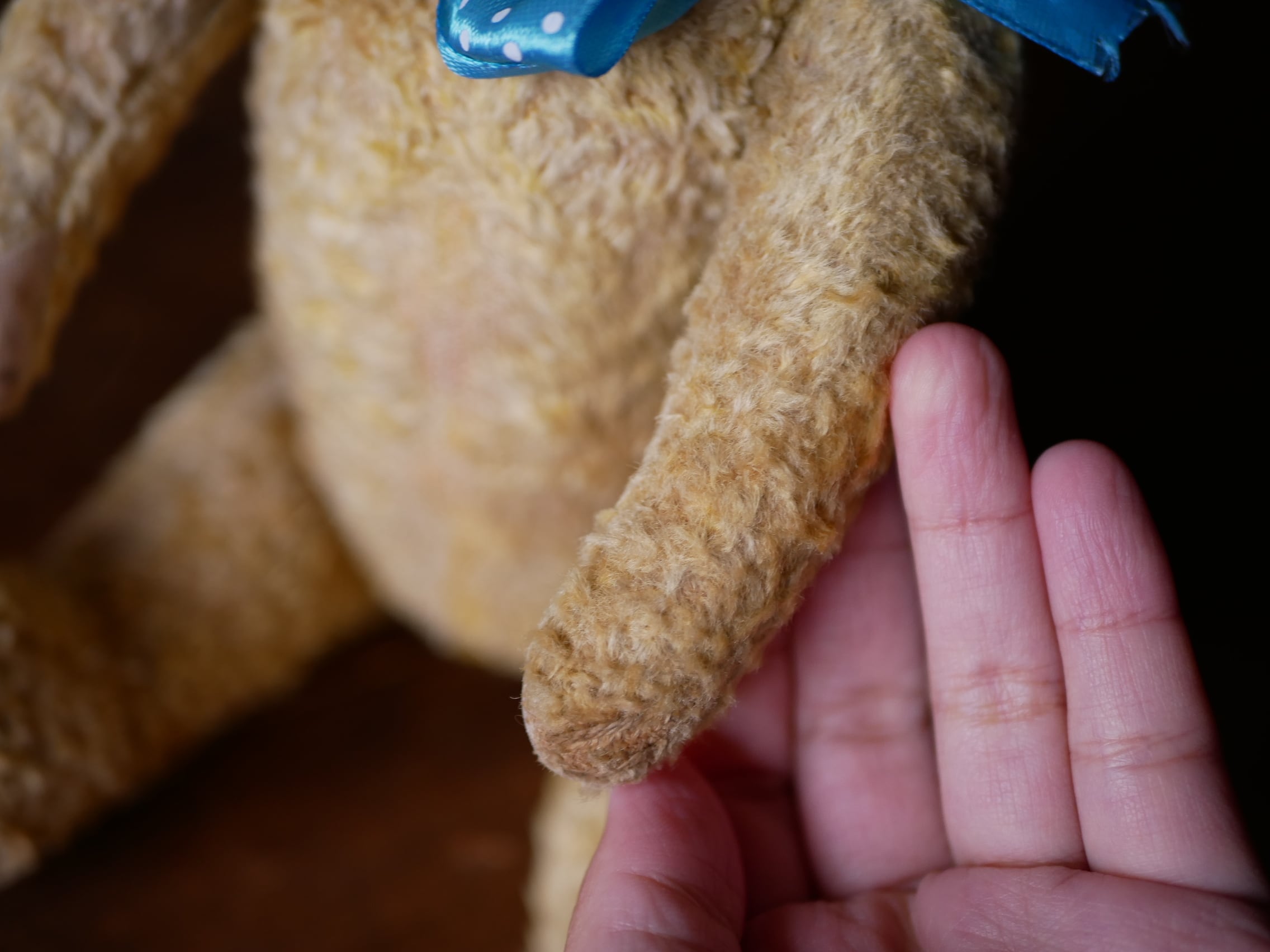 1アンティーク テディベア GOKRA | フランス アンティーク mamantique