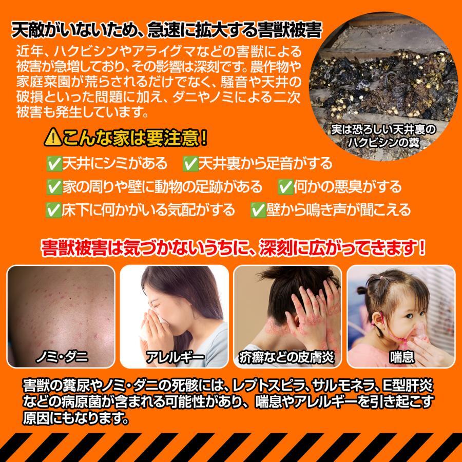 ハクビシン撃退 ハクビシンパニック！天井裏・床下用の屋内用30枚