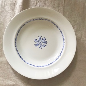 青い植物模様のスープ皿