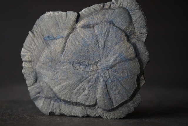 パイライトサン Pyrite Sun 1679