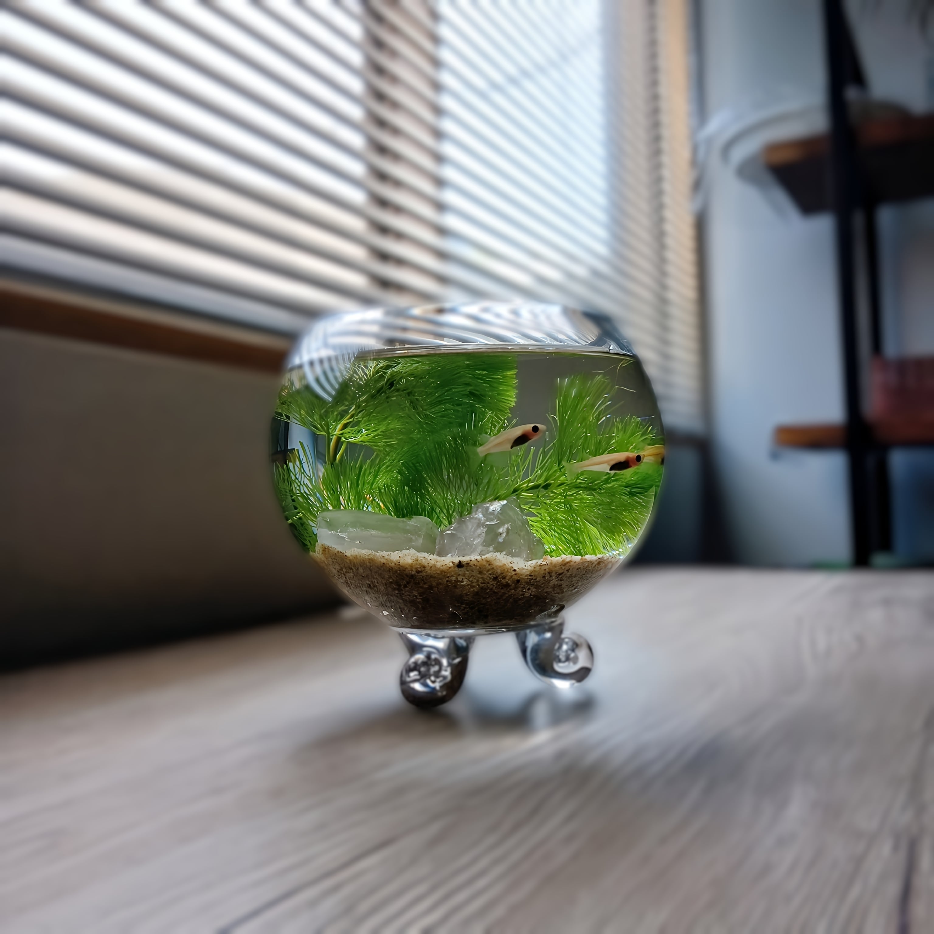 金魚鉢 丸型金魚鉢 ガラス 透明 テーブル アクアリウム ボウル 観葉