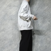 Champion reverse weave college sweat