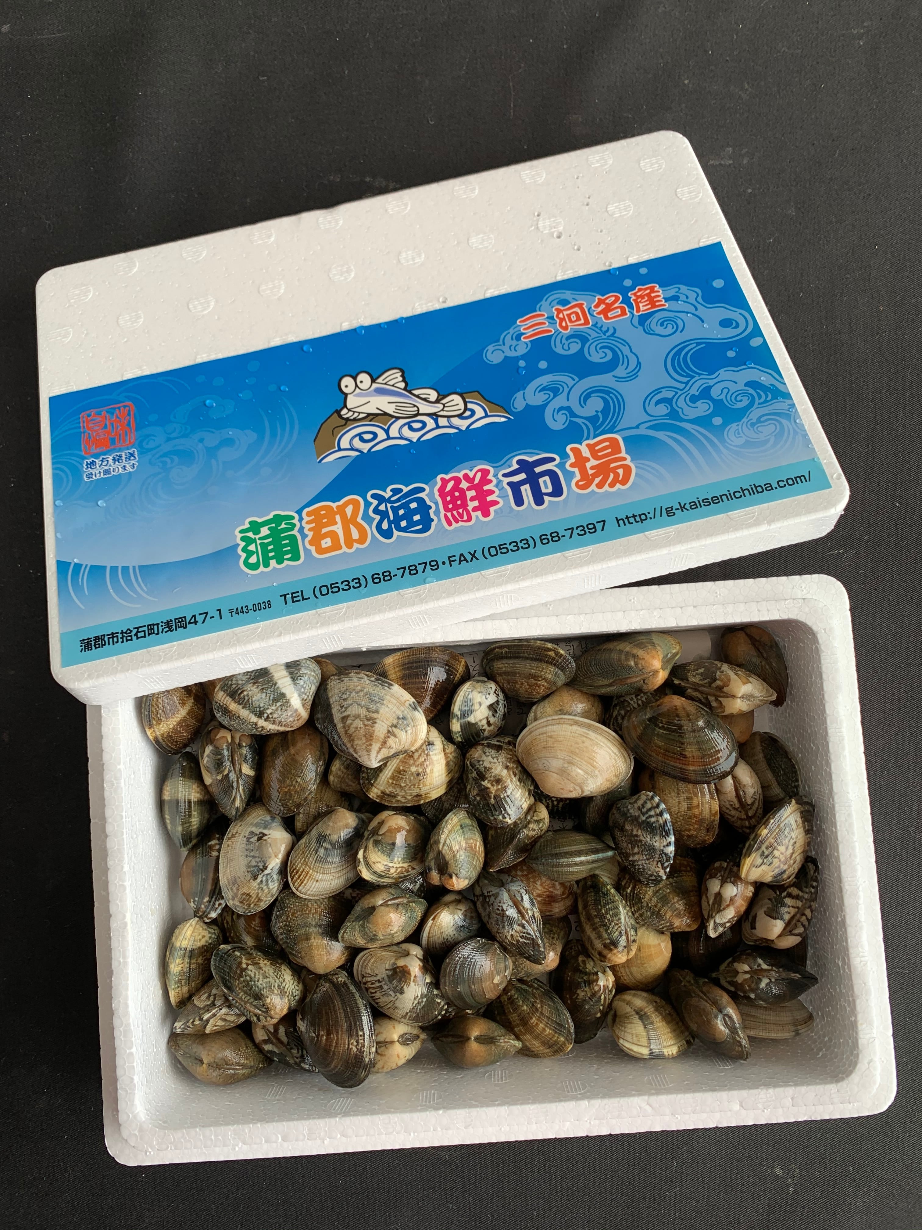 愛知県 蒲郡産 特選あさり 大小混ざり (冷蔵ｸｰﾙ代330円込み） | 蒲郡