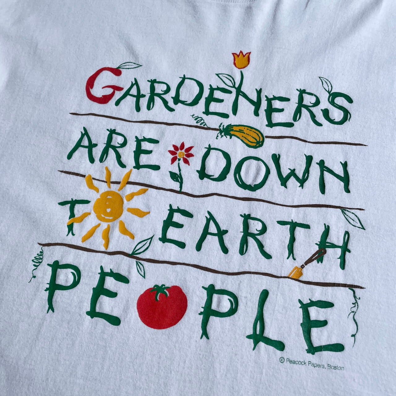 USA製 90年代 Peacock papers メッセージ プリント Tシャツ メンズXL