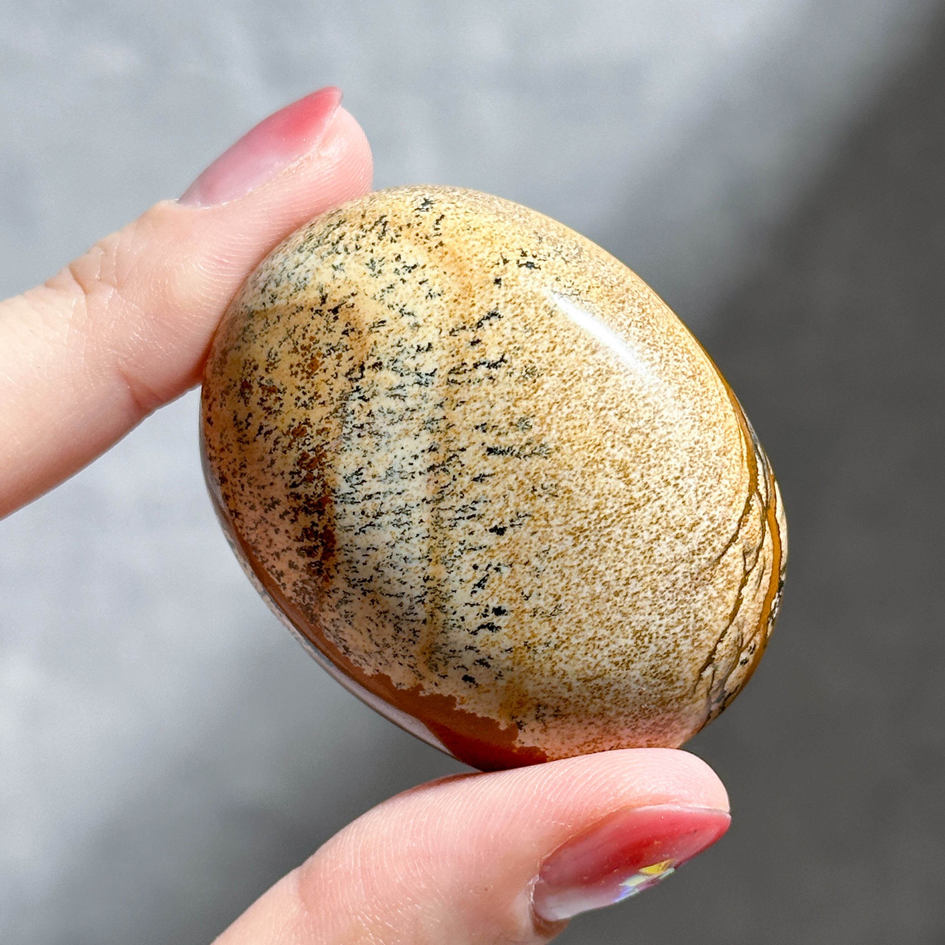 ピクチャージャスパー パームストーン21◇ Picture Jasper ◇ 天然石
