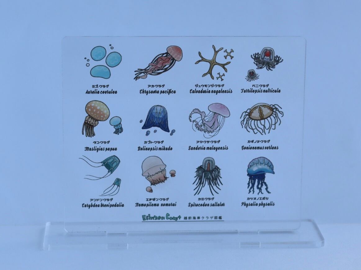 dd4fc4321f12b3a38062728b5f98e1