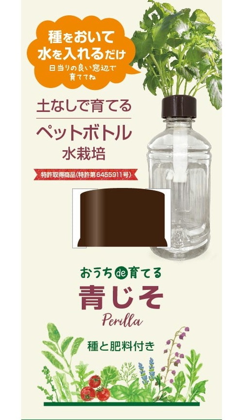 ペットボトル水栽培　ハーブ野菜シリーズ「青じそ」送料込(種有効期限　2025年2月末）