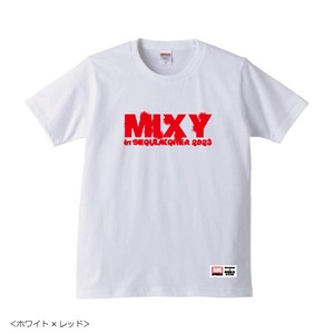 【限定】【RDS APPARELS】MIXY TEE - SEOUL/KOREA 2023 / GRAFFITY (T-Shirts) - for UNISEX
