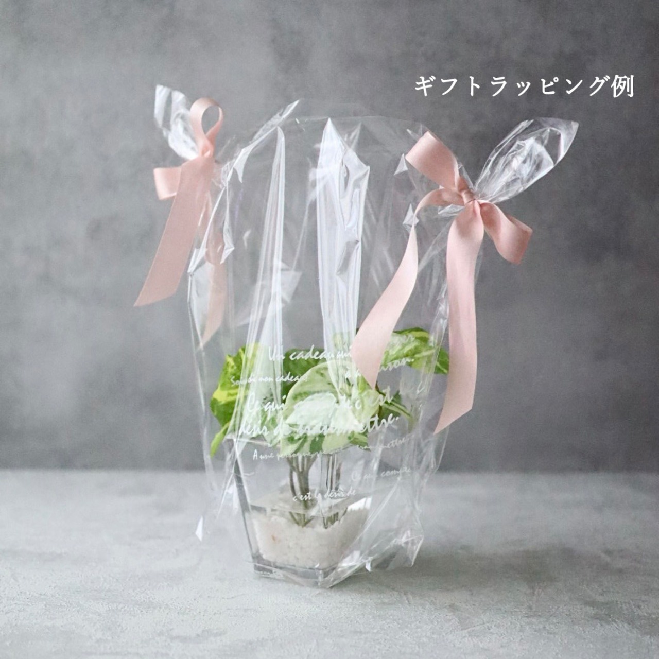 シュガーバイン 造花 観葉植物 フェイクグリーン ガラス花瓶 卓上インテリア H18cm