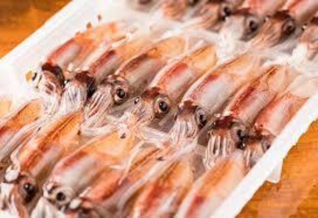 ほたるイカ沖漬け 冷凍 卸売り問屋 海神 オンラインショップ ほたるイカ沖漬け 冷凍 卸売り問屋 海神 オンラインショップ