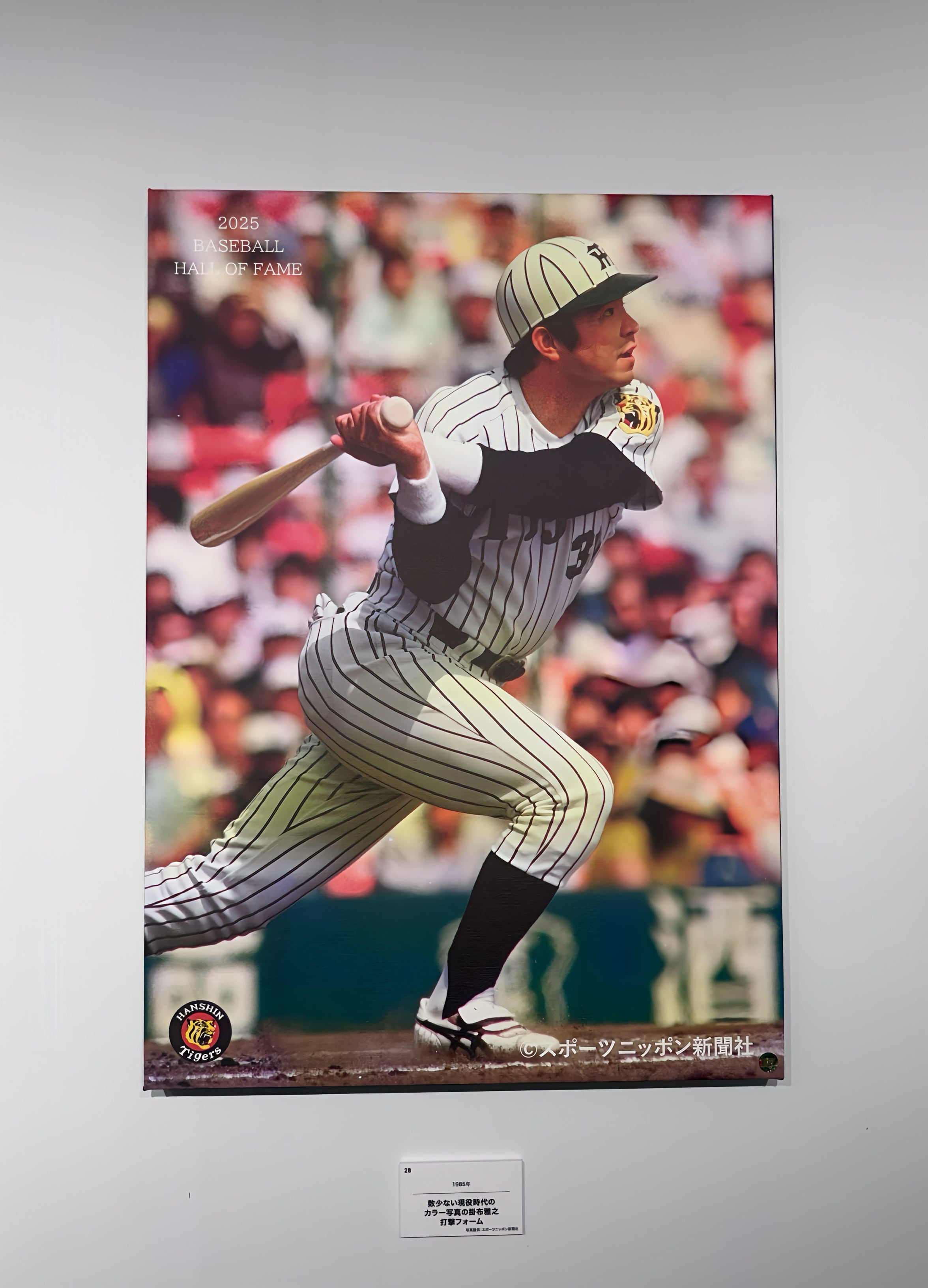 ⑥1985年貴重なカラー写真のバッティングフォーム ／掛布雅之野球