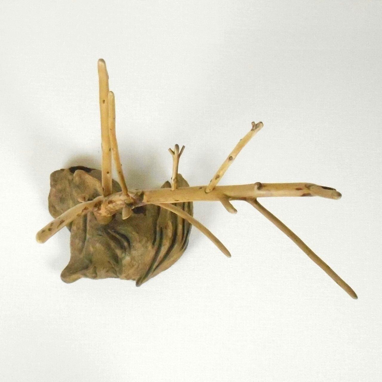 流木オブジェ荒波