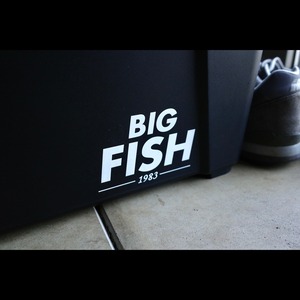 BIGFISH1983 ロゴカッティングステッカー