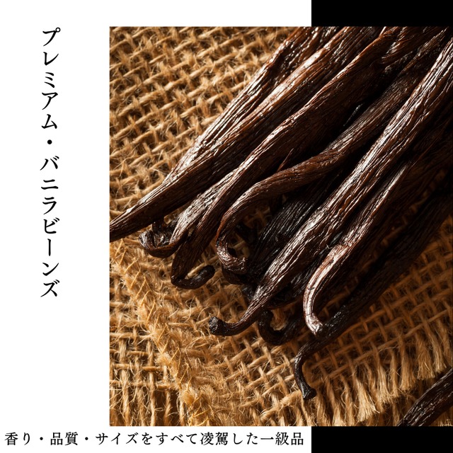 【本数多いほど1本価格がお得！】【ブルボン種・最上位グレード・18-20cm以上・バニラビーンズ・3本】