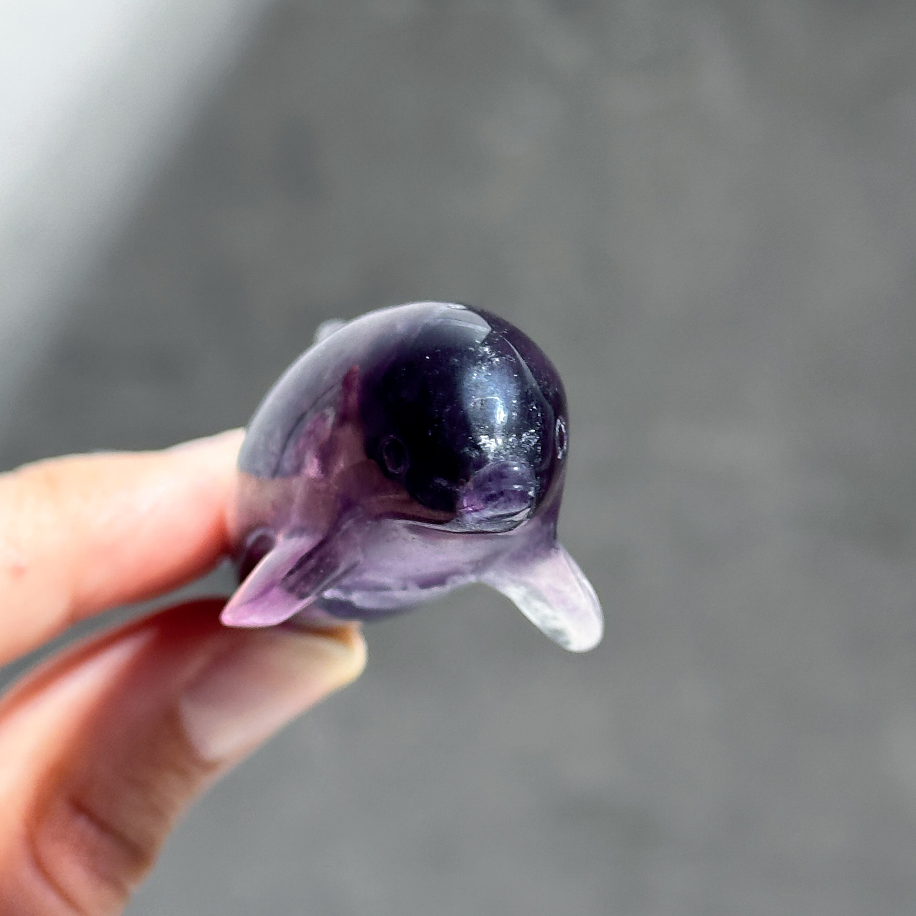 レインボーフローライト イルカ45◇ Fluorite ◇天然石