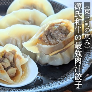 東三河の恵み　源氏和牛の最強肉汁餃子　1箱（20個入）（折箱）