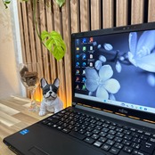 \ 公式ショップ限定価格❣️/ 準美品《初心者様オススメ》光学ドライブ【富士通 LIFEBOOK A5511/G】第11世代 メモリ8GB SSD ノートパソコン 安心サポート&3ヶ月保証付き