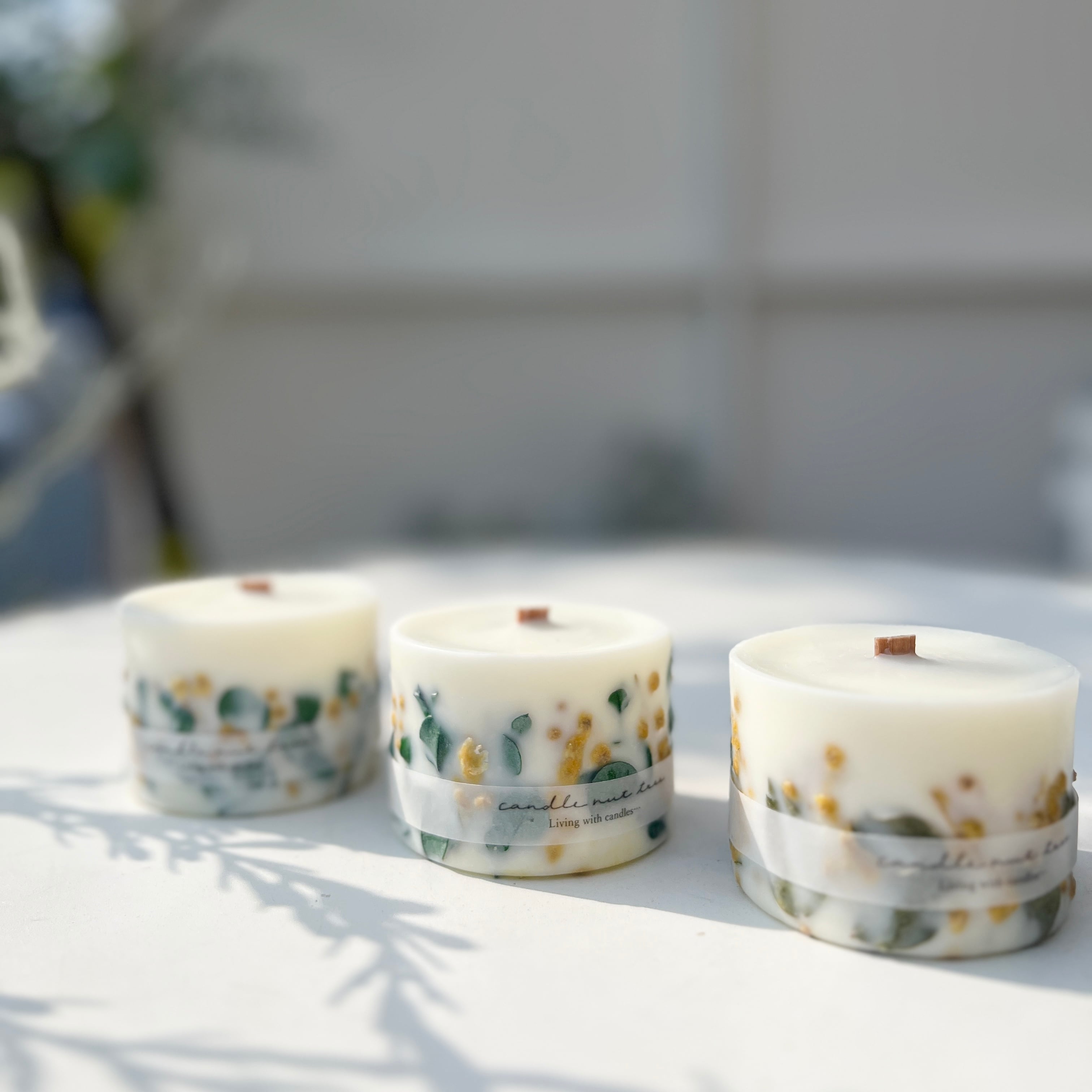 candle nut tree 木芯ソイボタニカルアロマキャンドル ミモザ | ihana