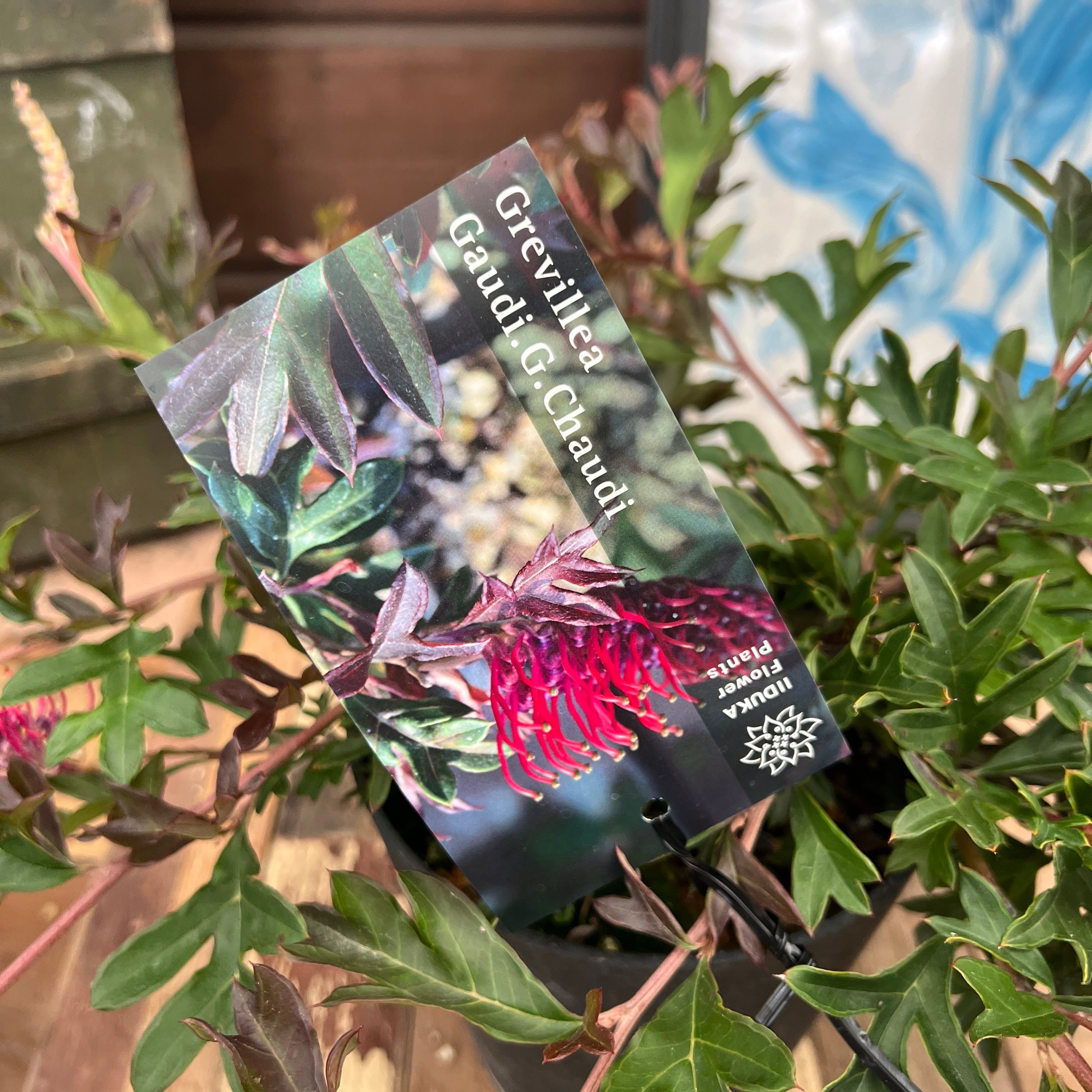 dd740656a53db643047a93e9070453