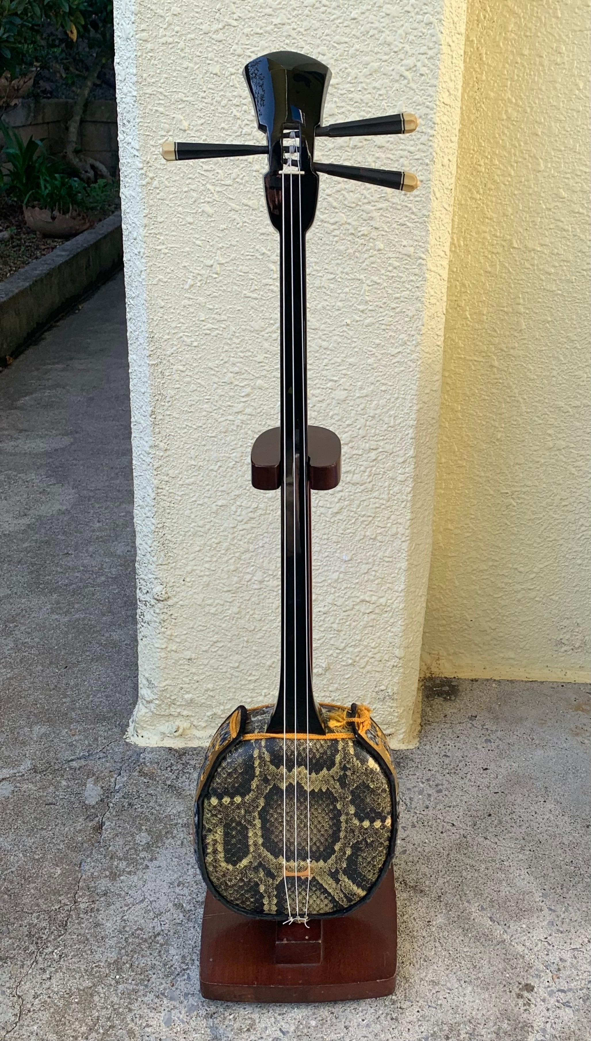 三線本体 | 胴巻屋