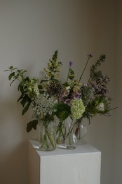 草花便り　L
