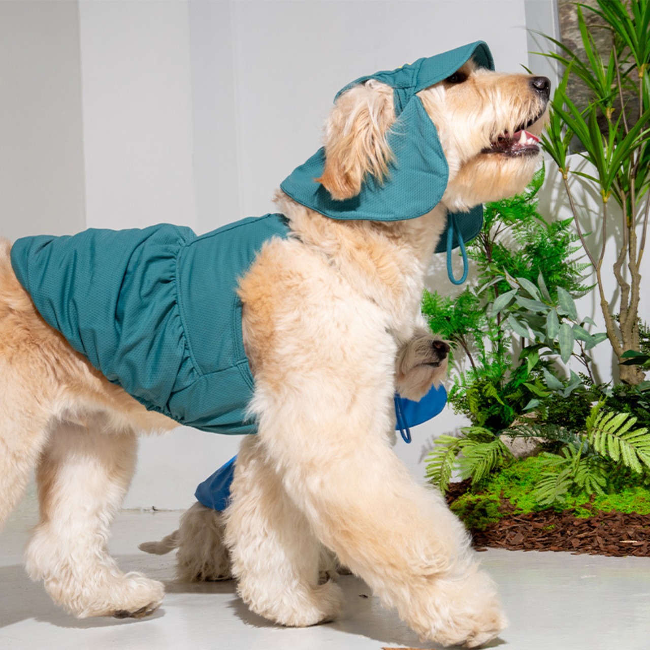 【PUPPYGALLERY公式】Jelly Bear Tank Top　2XL-3XL