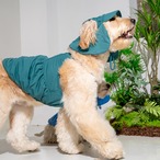 【PUPPYGALLERY公式】Jelly Bear Tank Top　2XL-3XL