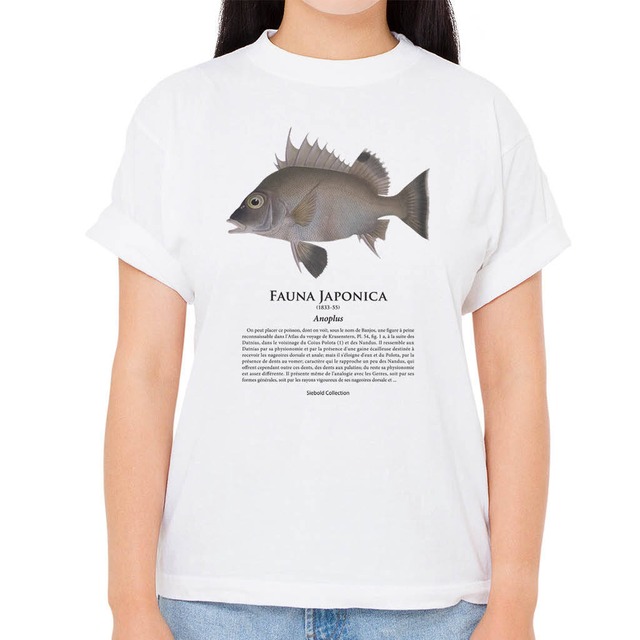 【チョウセンバカマ】シーボルトコレクション魚譜Tシャツ（高解像・昇華プリント）