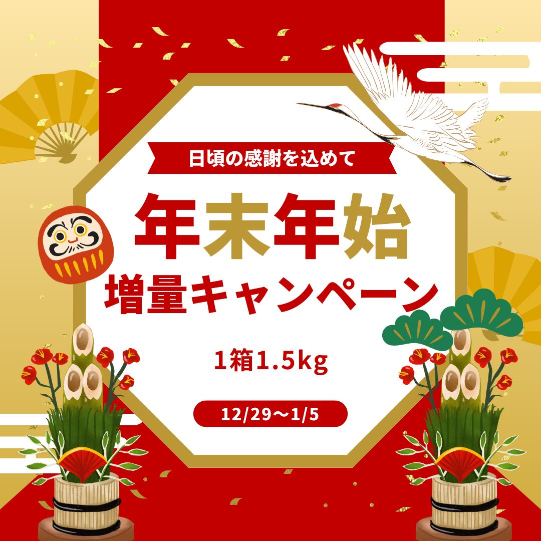 【年末年始・特別予約販売】【送料別途】ララトマテーゼ フルーツトマト 1.5kgx2