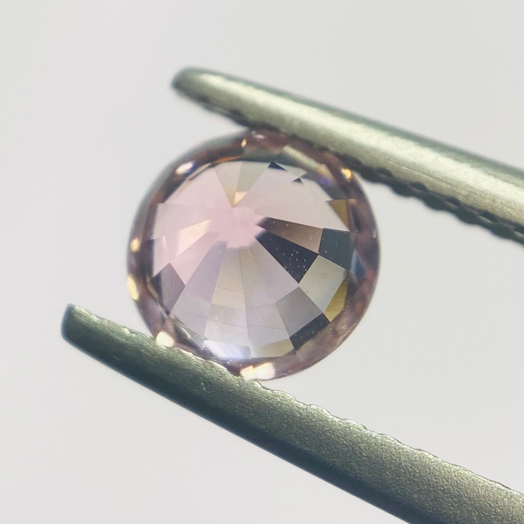 光当たる桜　トルマリン2