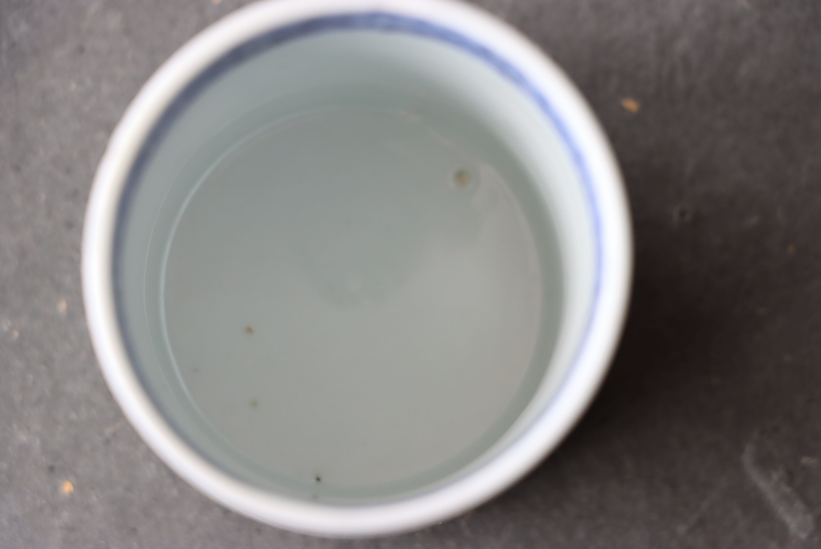 古伊万里 染付 花亀甲文 覗き猪口/Blue and white cup | (有)新原美術