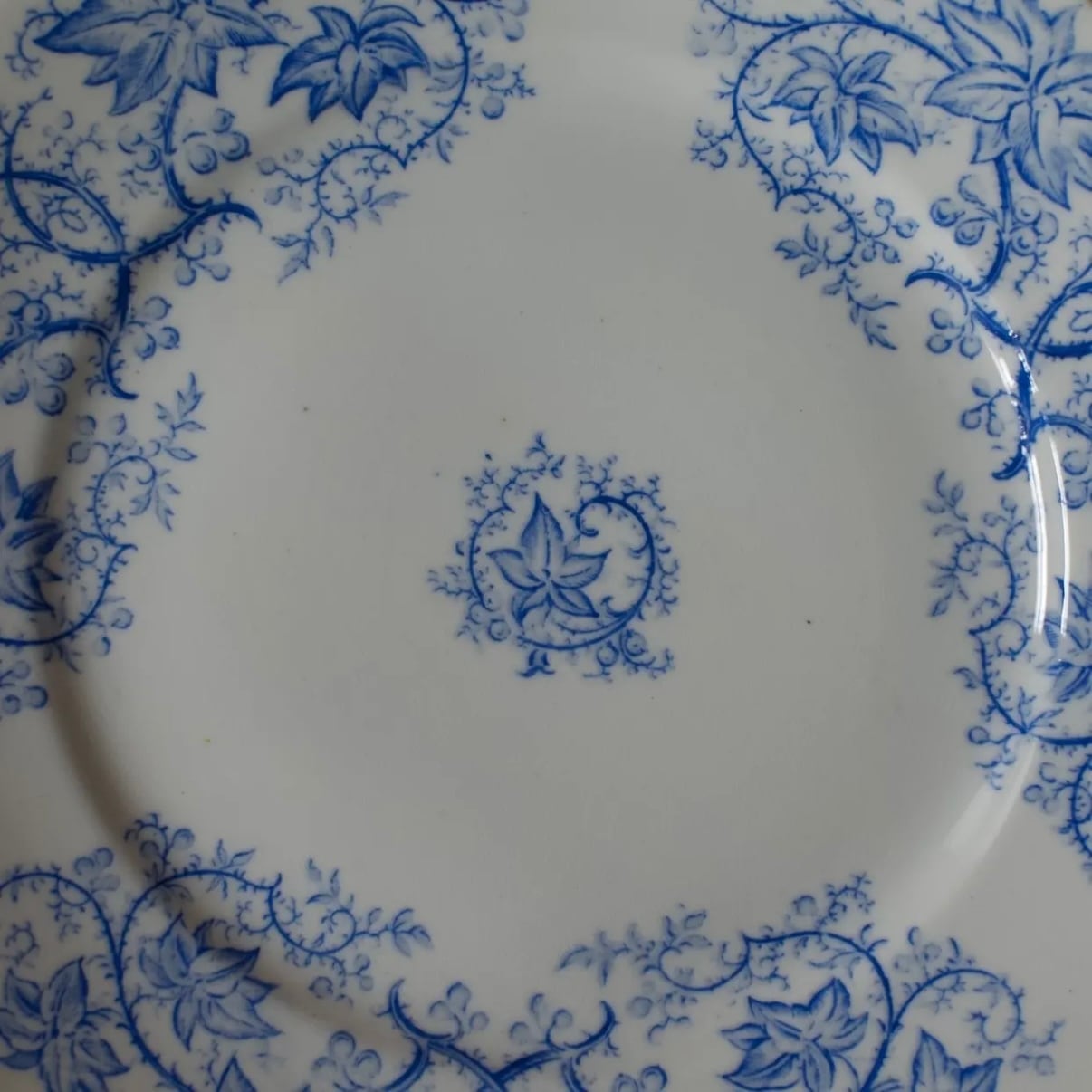 SARREGUEMINES Plate / サルグミンヌプレート 【C】〈フランス食器・皿