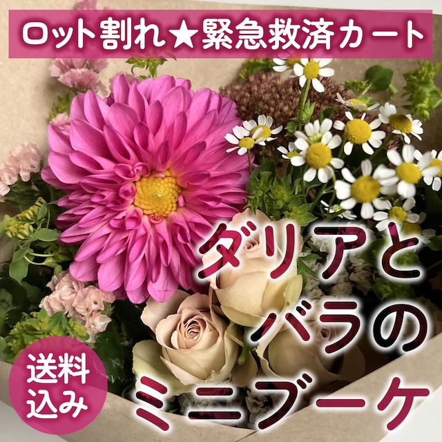 すべてフラワーロス救済いただきました。ありがとうございました！《数量限定★ロット割れ救済カート》ダリアとバラのミニブーケ〈送料込み〉★ロスフラワー救済