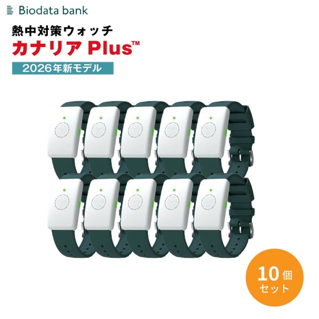 カナリアPlus２０２６年モデル（１０個セット）