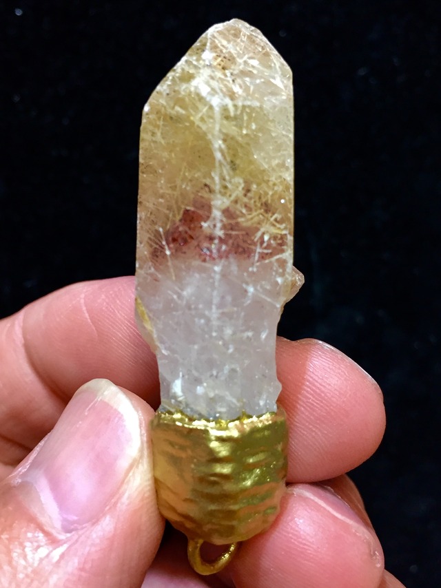 11) 超希少！突然変異「ナイジェリア・ドリーム」PT