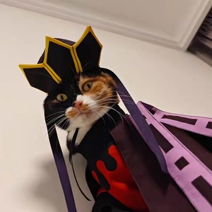 ペット用 コスプレ衣装 猫服 犬服 鬼滅の刃 風 童磨 通常衣装 ★受注品★