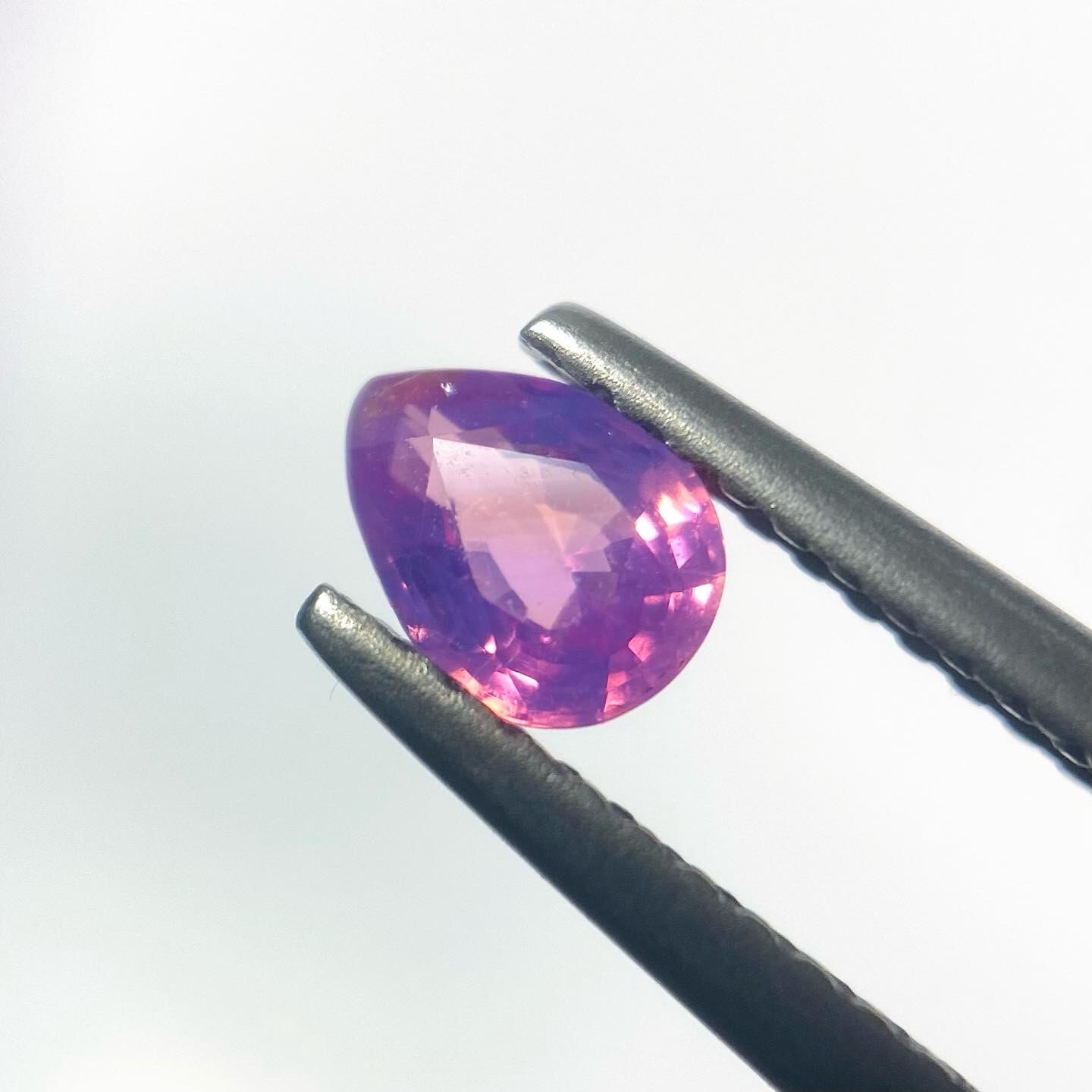 隠れゼブラ ピンクサファイア